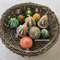 کاکتوس های وارمری