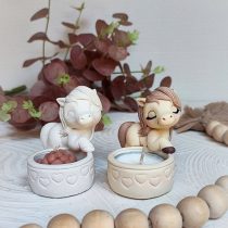 اسب وارمردار نازدار